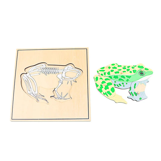 Children Educational Toys Montessori Materials Biology Wooden Skeleton Puzzle Frog Horse Tortiose Fish Bird Animal Toys for Boy