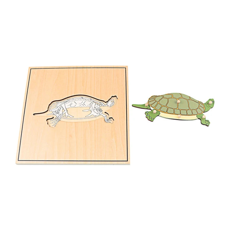 Children Educational Toys Montessori Materials Biology Wooden Skeleton Puzzle Frog Horse Tortiose Fish Bird Animal Toys for Boy