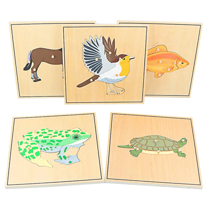 Children Educational Toys Montessori Materials Biology Wooden Skeleton Puzzle Frog Horse Tortiose Fish Bird Animal Toys for Boy