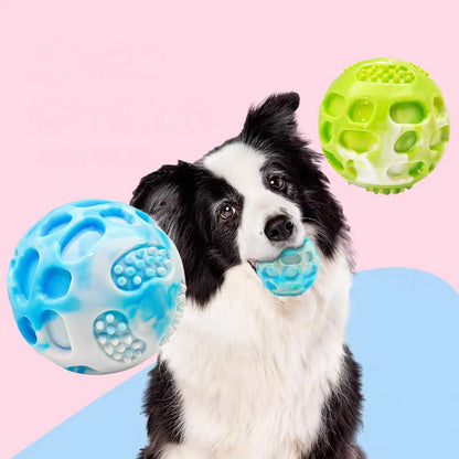 Pet dog toys are sturdy and durable, can alleviate teething discomfort, and are suitable for use during outdoor training.