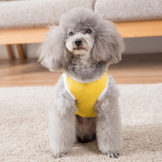 Summer Dog Puppies Vest Teddy Bear - Small and Medium Sized Dog Costume